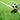 Voetbalwedstrijden