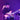 Tash Sultana | Amsterdam