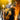 Joe Bonamassa